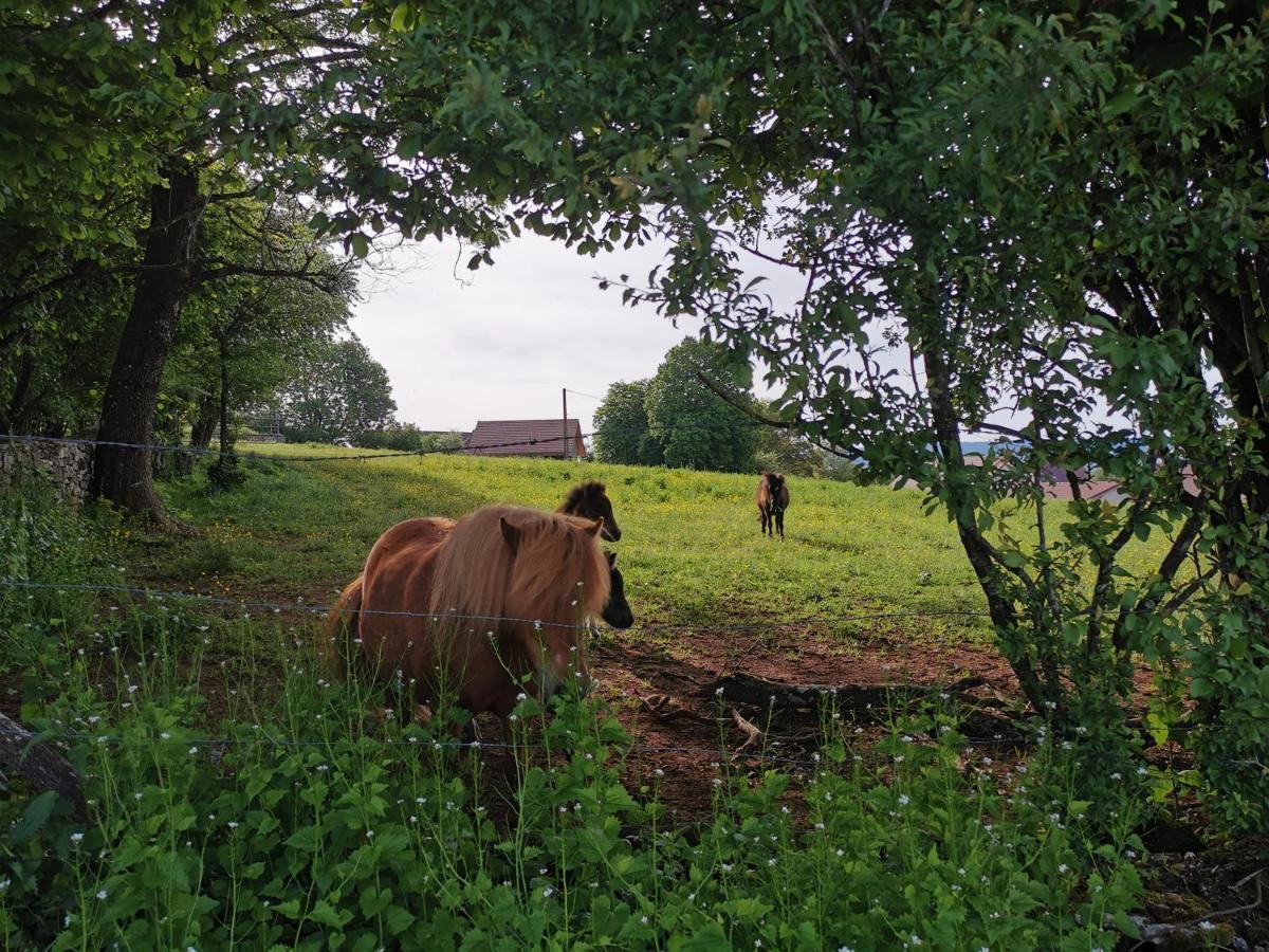Gite Du Colombier Le Fied Exterior photo